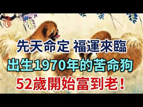 1970年屬狗|屬狗人必看：1970五行解析